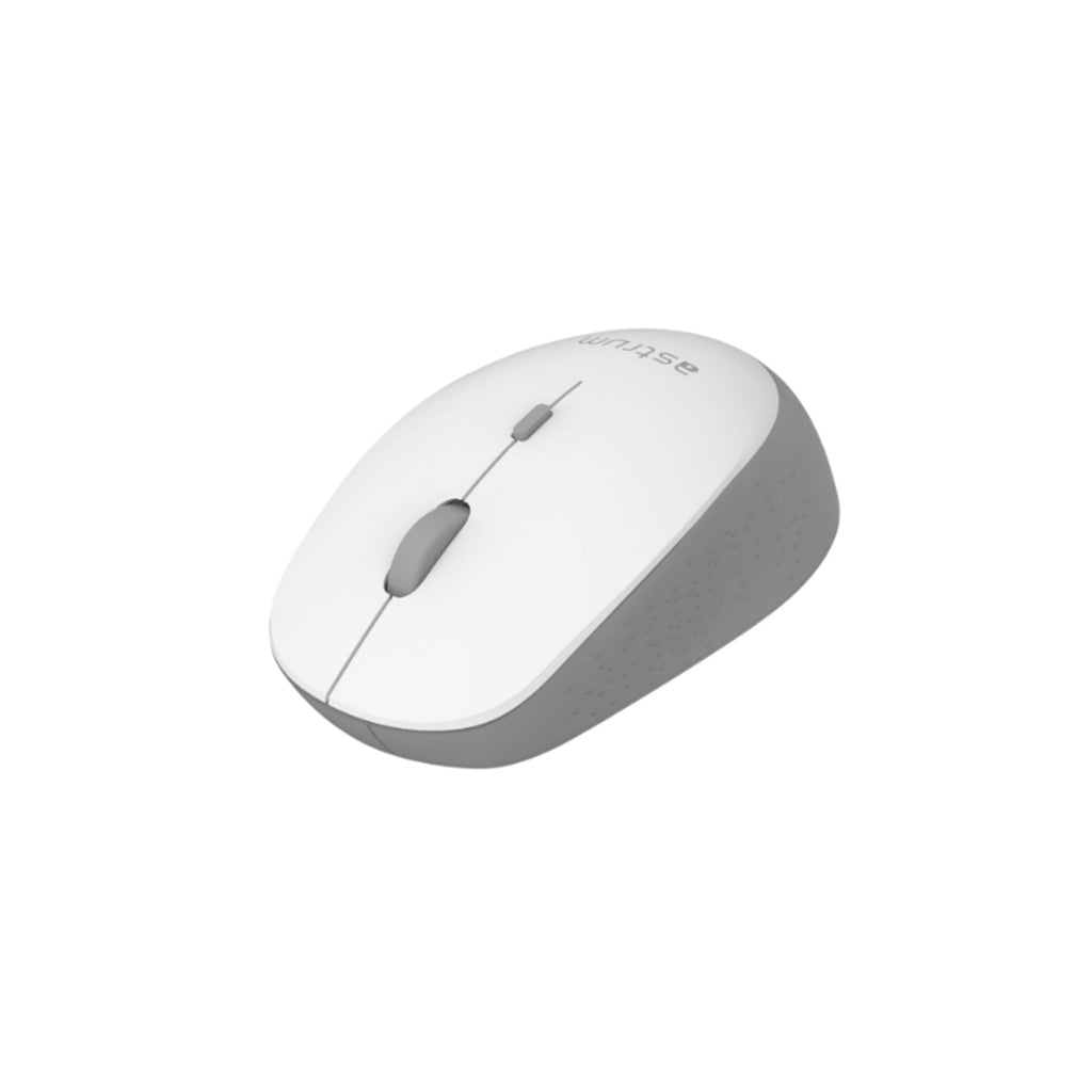 Astrum Wireless Optical Mouse | MW210